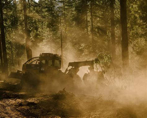silicon isotopes|Silicon Valley Wants to Fight Fires With Fire .